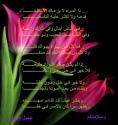   rafedy